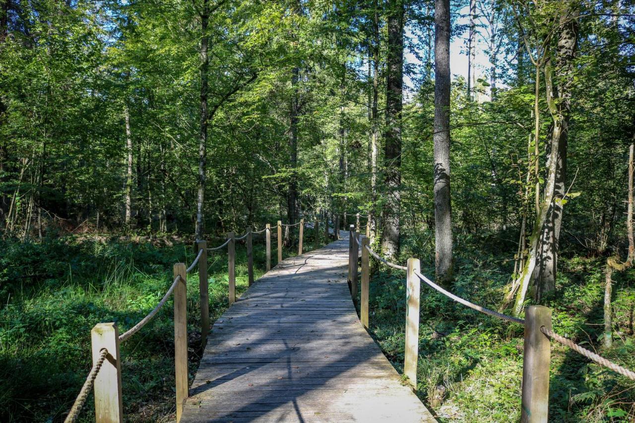 Lesna 21 Dom Poludnie Przy Puszcza Bialowieska Luka Exterior foto