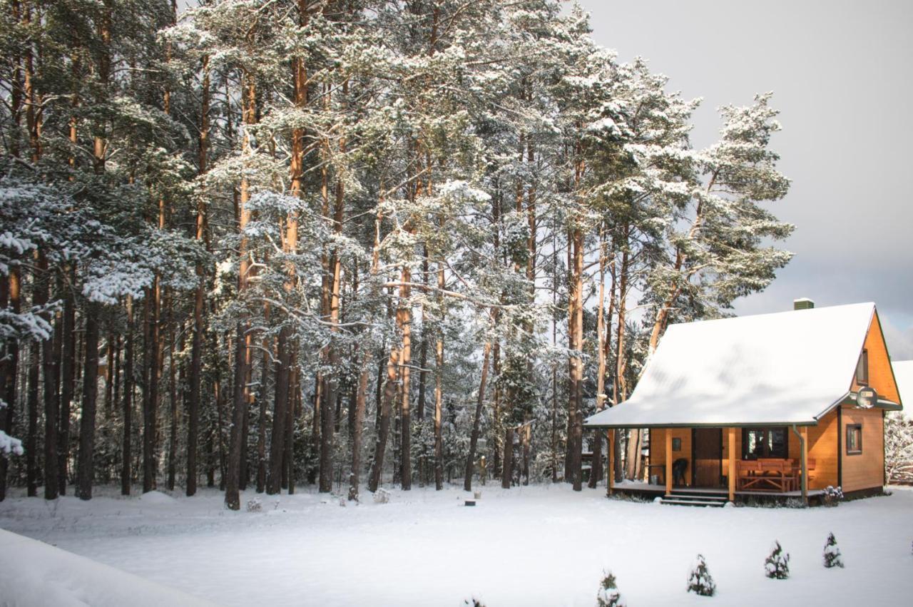 Lesna 21 Dom Poludnie Przy Puszcza Bialowieska Luka Exterior foto