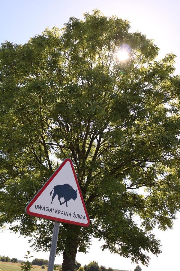 Lesna 21 Dom Poludnie Przy Puszcza Bialowieska Luka Exterior foto